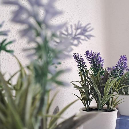 La Tappa Del Vignaiolo Home Mamoiada Εξωτερικό φωτογραφία