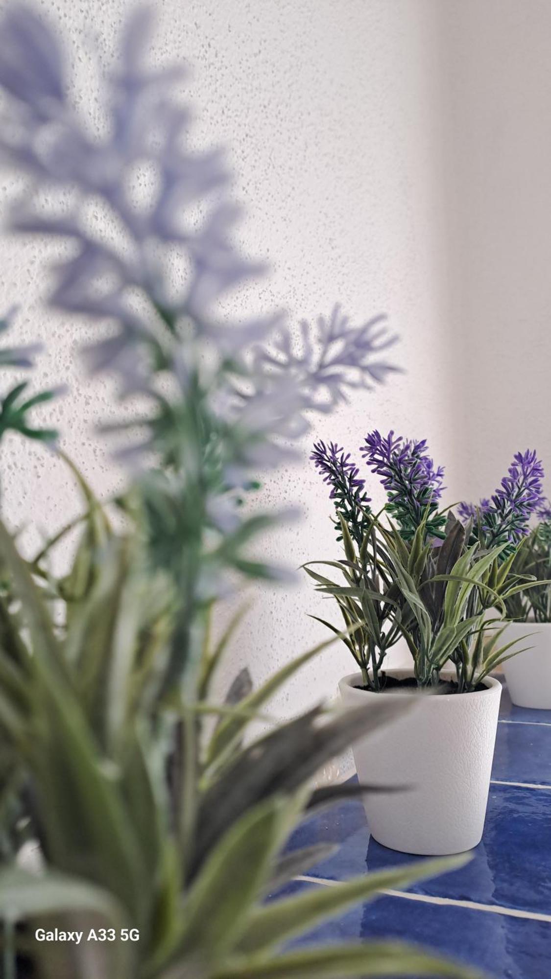 La Tappa Del Vignaiolo Home Mamoiada Εξωτερικό φωτογραφία