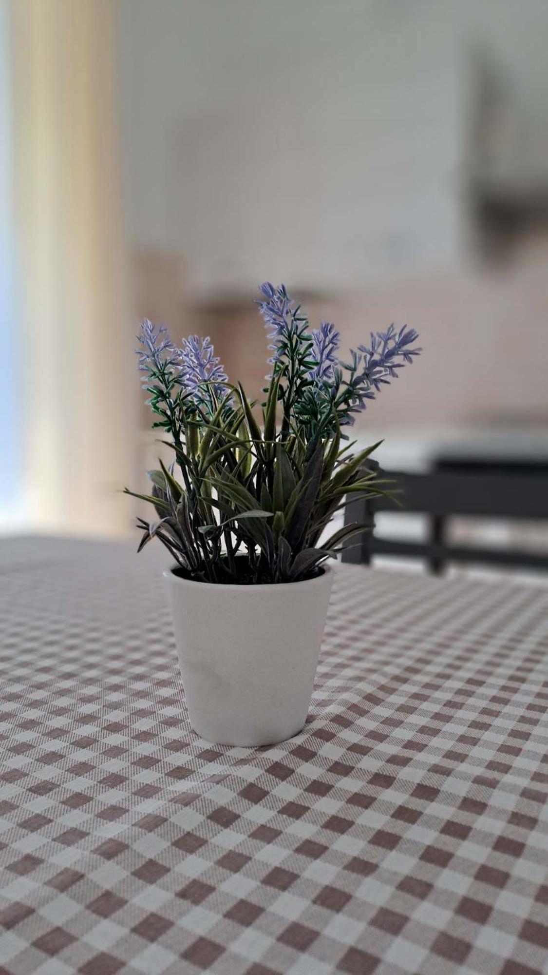 La Tappa Del Vignaiolo Home Mamoiada Εξωτερικό φωτογραφία
